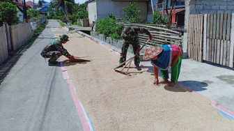 Anggota Satgas TMMD 104 Sungaipenuh Bantu Warga Jemur Padi