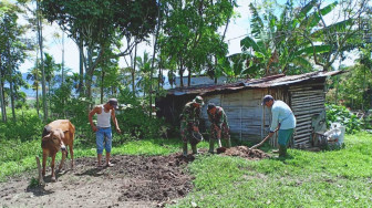 Warga Dusun Sungai Sirah Ini Kaget Tentara Mau Bersihkan Kandang Sapi