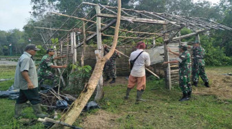 Babinsa Bantu Perbaiki Pondok di Ladang Petani