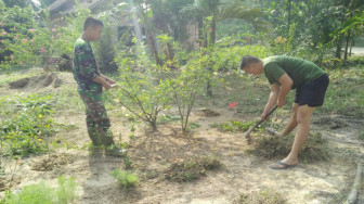 Satgas TMMD Bantu Bersihkan Pekarangan Rumah Warga