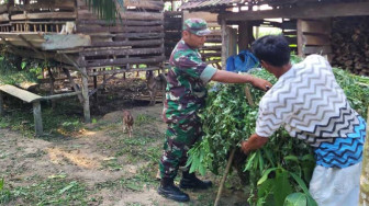 Serda Tri Purwanto Bantu Mat Sadun Cari Rumput