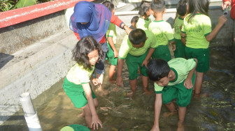 Seru dan Cerianya Anak TK di Peternakan Lele