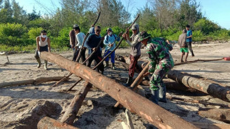 Satgas TMMD Bersama Warga Gotong royong Angkut Balok Kayu