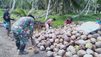 Satgas TMMD Ikut Bantu Warga Kupas Buah Kelapa