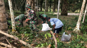 Asiknya Panen Jengkol di Lokasi TMMD