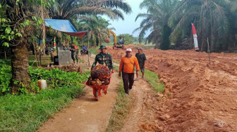 Danton Satgas TMMD Kodim Batanghari Bantu Petani Panen Sawit