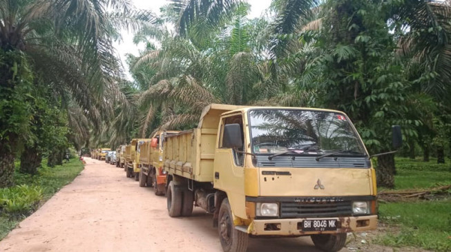 Puluhan Dumptruck Angkut Tanah ke Lokasi TMMD Setiap Hari