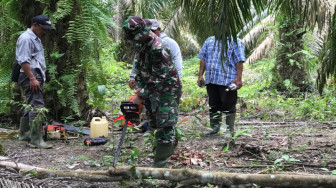 Potong Kayu Galar, Letda Heri Bawa Chainsaw