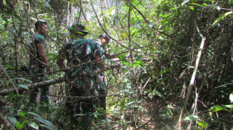 Satgas dan Warga Desa Sungaiterap Masuk Hutan Lagi Cari Kayu Pelagas