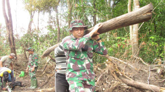 Mayor Beni Tak Segan-Segan Pikul Balok Kayu