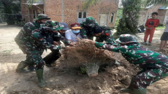 Merobohkan Pohon di Pinggir Jalan Ditarik Menggunakan Tali