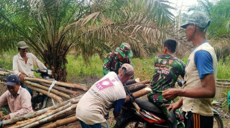 Hari Libur Tetap Bergotong Royong Mencari Kayu