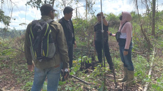 Tebangi Pohon di Hutan Produksi Terbatas, Warga Tanjab Barat Terancam Penjara