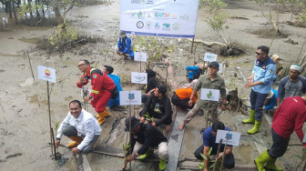 Bertajuk Misi Lestari, SKK Migas - PetroChina Tanam 35.000 Pohon Mangrove di Pangkal Babu