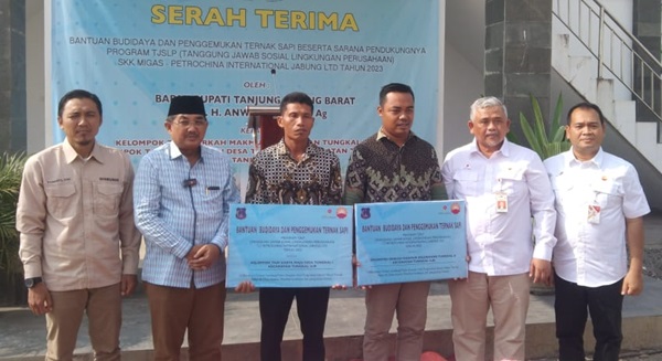 SKK Migas - PetroChina menyerahkan bantuan 29 ekor ternak sapi untuk kelompok tani di Kabupaten Tanjungjabung Barat, Jambi, Sabtu (13/7/2024) | swd