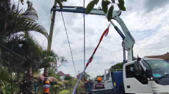 Handalkan Pasokan Listrik, PLN UP3 Jambi Terus Sadarkan dan Himbau Masyarakat Kota Jambi Terkait Bahaya Kelistrikan