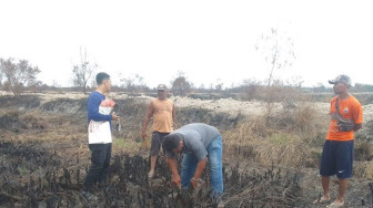 Polda Jambi Terus Usut Dugaan Karhutla di Kawasan Konsesi PT Artha Mulia Mandiri