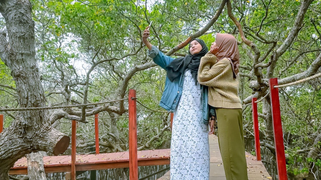 Ekowisata Hutan Mangrove Purba Jerowaru Kerek Ekonomi Masyarakat