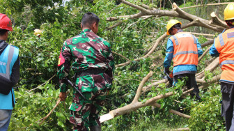 Kolaborasi PLN dan Kodim 0425 Seluma Perkuat Keandalan Listrik Kabupaten Seluma Lewat Gebyar Right of Way