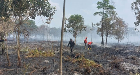 Karhutla di Teluk Dawan Berhasil Dipadamkan, Informasi Awal dari Tim Seismik BGP - PetroChina