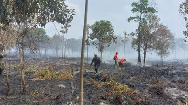 Karhutla di Teluk Dawan Berhasil Dipadamkan, Informasi Awal dari Tim Seismik BGP - PetroChina