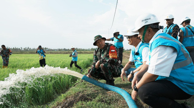 Dukung Pengembangan Pertanian di Merauke, PLN Listriki Area Sawah Garapan Kementan-TNI