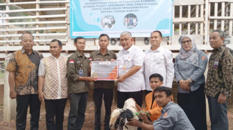 Kembangkan Usaha Masyarakat, SKK Migas PetroChina Bantu 30 Ekor Kambing PE di Desa Terjun Gajah