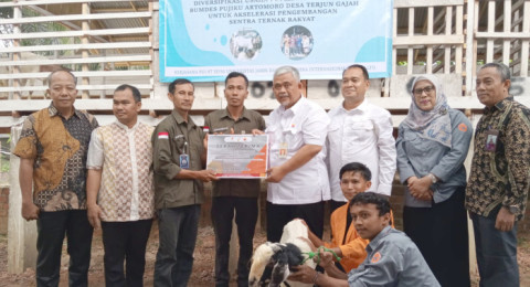 Kembangkan Usaha Masyarakat, SKK Migas PetroChina Bantu 30 Ekor Kambing PE di Desa Terjun Gajah