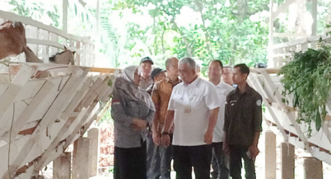 Dapat Bantuan 30 Ekor Kambing PE Lagi, Masyarakat Desa Terjun Gajah Apresiasi SKK Migas - PetroChina