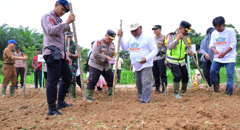 Mendukung Program Asta Cita Presiden RI,Polda Jambi Lakukan Penanaman Bibit Jagung.