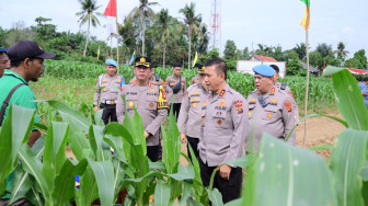 Mendukung Swasembada Pangan Tahun 2025, Polda Jambi Ikuti Kegiatan Menanam Satu Juta Hektar Jagung Serentak.