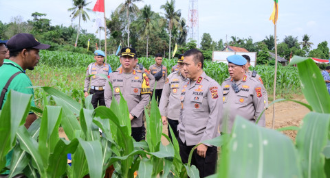 Mendukung Swasembada Pangan Tahun 2025, Polda Jambi Ikuti Kegiatan Menanam Satu Juta Hektar Jagung Serentak.