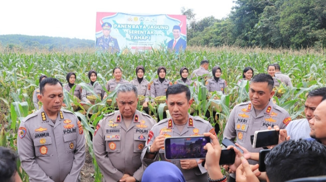 Panen Raya Serentak Polda Jambi Panen 1 Hektar Jagung