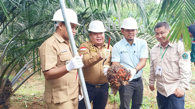 Dukung Pendidikan, Asian Agri Serahkan Panen Perdana Program Sekolah Sawit Lestari di Jambi