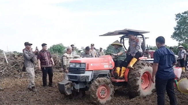 Bupati Muarojambi Tanam Jagung Hibrida di Lahan Kelompok Tani Gelora