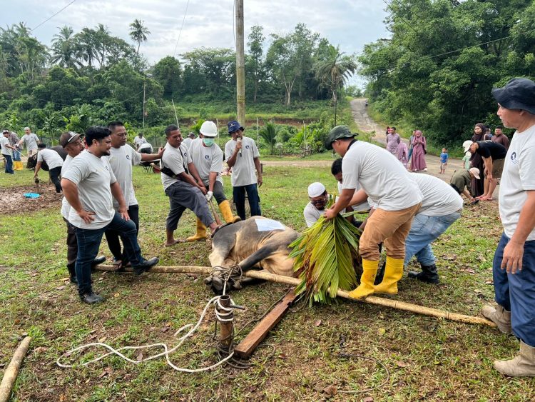 Prosesi Penyembelihan Hewan Qurban PHR Zona 1