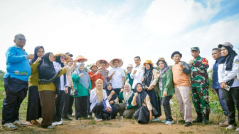 Bupati Sarolangun Hadiri Panen Jagung dan Lele di Desa Batu Ampar Pauh, Dorong Ketahanan Pangan Daerah