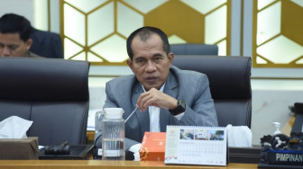 Komisi  IV DPR Apresiasi Capaian Sektor Pangan di Tahun Pertama Pemerintahan Prabowo.