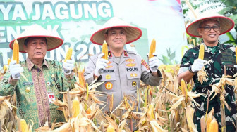 Panen Raya Jagung Kuartal I 2026, Polri Perkuat Ketahanan Pangan Nasional