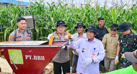 Polda Jambi Gelar Panen Raya Jagung Serentak Kuartal II 2026, Dukung Program Ketahanan Pangan Nasional