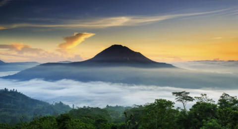Menjelajahi Wisata Alam Indonesia: Rekomendasi Liburan ke Cianjur dan Bali yang Sama-sama Memikat