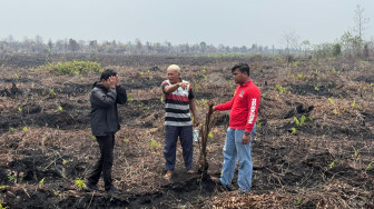 Polres Bengkalis Paling Tinggi Ungkap Kasus Karhutla di Polda Riau, Pemilik Lahan Terbakar di Mandau Jadi Tersangka