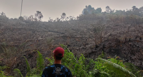 Pasca Lahannya Terbakar, Manajemen Jebus Maju Minta Polisi Usut Pelaku
