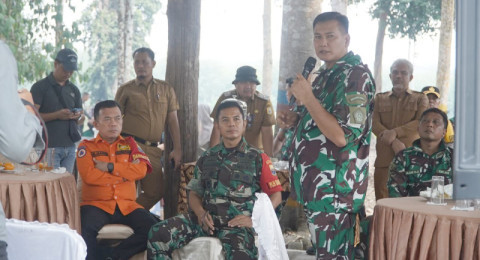 Bambu Jadi Tameng Gambut, Jambi Siapkan Jurus Baru Cegah Karhutla