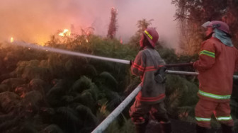 Pemancing Diduga Biang Kerok Kebakaran Belukar di Penyengat Rendah