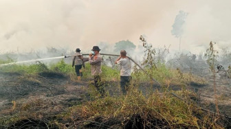 Tim Gabungan Padamkan Karhutla di Kumpeh Ulu, 10 Hektare Lahan Berhasil Dipadamkan